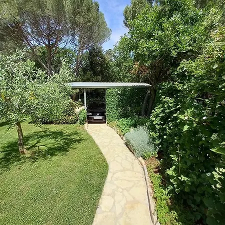 Fiore פורץ